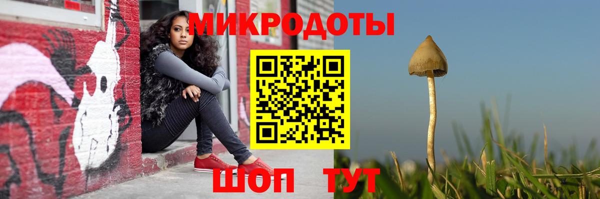 Псилоцибиновые грибы Magic Shrooms  Псилоцибиновые грибы Psilocybe  Озёры  Вход с VPN 